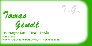 tamas gindl business card